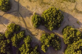 هيئة البيئة أبوظبي تعلن برنامجها للمشاركة في COP28