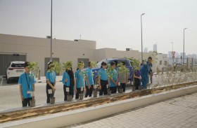 مبادرة «زراعة 20 ألف شجرة» تستقطب مشاركة واسعة من الجهات الحكومية والخاصة والمؤسسات التعليمية