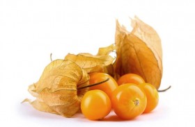 فوائد فاكهة الحرنكش في الوقاية من كورونا والسكري