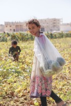 فتاة تعمل في حقل بطيخ في بلدة الدانا شمال غرب محافظة إدلب، في سوريا. (ا ف ب)
