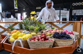 مسابقة (سلة فواكه الدار) في ليوا للرطب تستقطب 90 صنفا من الإنتاج المحلي