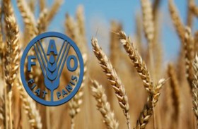 الفاو: انخفاض أسعار الغذاء العالمية للشهر الثاني عشر على التوالي في مارس