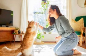 «مرحلة فارقة» في تاريخ استئناس القطط