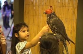 «مهرجان الشيخ زايد» منصة للاحتفاء بالتراث الوطني وثقافات العالم