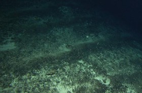 علماء يكتشفون «الأكسجين المظلم» في قاع المحيط