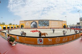تألق مربط دبي في افتتاح مهرجان الشارقة الدولي للجواد العربي الـ 26