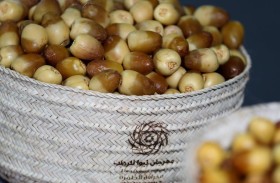 7 أصناف رطب متميزة تتنافس على جوائز ليوا للرطب بدورته الـ 21