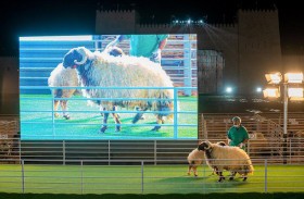 انطلاق المسابقات المصاحبة لجائزة الشيخ منصور بن زايد للتميز الزراعي في مهرجان الشيخ زايد 