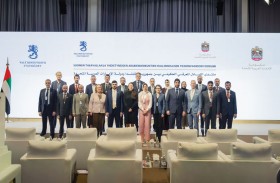 الإمارات وفنلندا تعززان شراكتهما في تطوير العمل الحكومي