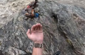 معجزة فوق صخرة.. إنقاذ زوجين علقا 72 ساعة 