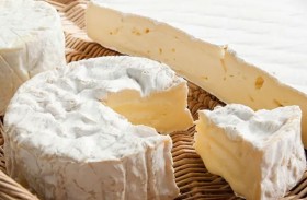 هل الجبن عالي الدسم مفيد فعلا للدماغ؟