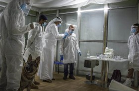 مجلة Nature العالمية تنشر دراسة الإمارات حول استخدام الكلاب الجمركية في الكشف عن كوفيد19-