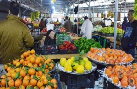 الكويت: لا قرار بوقف استيراد الخضراوات من لبنان