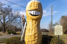 حبة فول سوداني ضخمة تصبح رمزاً لمسقط رأس كارتر