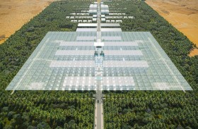 «بيئة» تكشف عن تصميم مشروع حي جواهر بوسطن الطبي بالشارقة