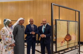 مركز جامع الشيخ زايد الكبير يفتتح معرض «سهول بلا حدود»