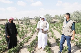 الزراعة والسلامة الغذائية تنتهي من مرحلة الرصد الميداني لمشروع السجل الزراعي لإمارة أبوظبي 