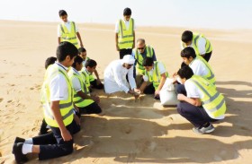 بلدية منطقة الظفرة تعزز انتشار النباتات المحلية واستدامة الغطاء النباتي