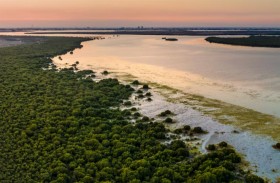 الكربون الأزرق ضمن أفضل 12 ابتكارا تساهم في حماية المحيطات