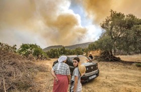 حرائق غابات عنيفة في المغرب.. والجيش يساعد في إخمادها
