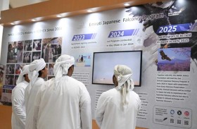 أبوظبي للصيد والفروسية .. تعاون إماراتي ياباني مستدام في قطاع الصقارة