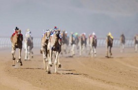 مهرجان محمد بن زايد لسباقات الهجن ومزاينة الإبل «اللبسة - 2021» ينطلق 4 فبراير في أم القيوين