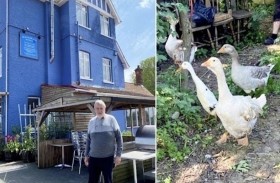 مجموعة من الإوز تروع سكان حي بريطاني