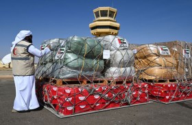 طائرتا مساعدات إماراتية تصلان إلى أم جرس التشادية