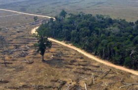 اغتيال ناشط بيئي مدافع عن الأمازون في البيرو 
