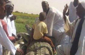 سوداني يصطاد تمساحا طوله 5 أمتار