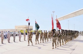 «النجم الساطع».. ما دلالات أكبر تجمع تدريبي في الشرق الأوسط؟