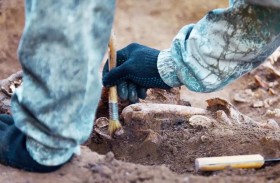 100 جمجمة ومقتنيات نادرة في مقبرة تاريخية 