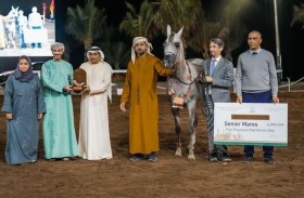 مربط دبي يحرز كل النفائس ويتوج أفضل مربط مربٍّ