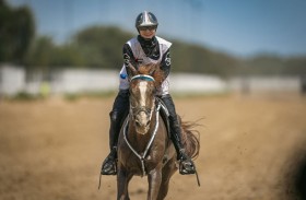 «اتحاد الفروسية»: مهرجان ولي عهد دبي للقدرة حقق نجاحا كبيرا بمشاركة 607 فرسان وفارسات