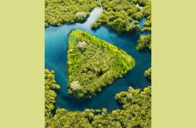 بنك أبوظبي التجاري يطلق حساباً مستداماً تحت الطلب 