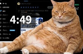 قط ضخم يقتحم الشاشة لإجبارك على وقف التصفح