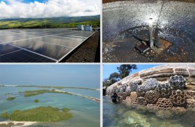 حصاد الإمارات 2025 .. ريادة عالمية في الاستدامة ومواجهة التحديات المناخية