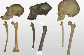 دراسة تفجر مفاجأة.. أشباه البشر ساروا منتصبي القامة قبل 7 ملايين عام