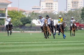 فريق الإمارات ينقض على الذئاب وغنتوت يفوز على كلينوفا في «ذهبية دبي»