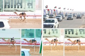 انطلاقة حماسية لمنافسات الإيذاع في اليوم الرابع لختامي مهرجان العين للهجن 2026 