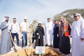 بلدية مدينة أبوظبي تعزز القيم البيئية والمظهر العام من خلال حملة التشجير وزيادة المسطحات الخضراء في أبوظبي والبر الرئيسي  