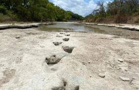 الجفاف يتيح اكتشاف آثار ديناصورات