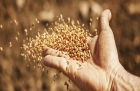 قرية إسبانية تعيد إحياء كنز من «البذور» 