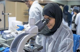 بلدية عجمان تفحص 238 عينة عسل خلال مهرجان ليوا عجمان للرطب والعسل