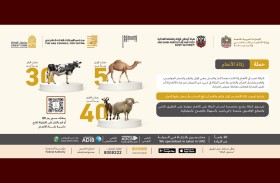 صندوق الزكاة يطلق حملة زكاة الأنعام