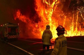 نفوق نصف مليار حيوان في حرائق أستراليا