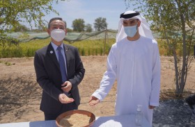 التغير المناخي والبيئة تسجل نجاحاً مميز اً للتجارب الأولية لزراعة الأرز في الإمارات