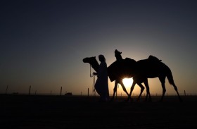 انطلاق أولى محطات مهرجان الظفرة الـ 20 في مدينة سويحان اليوم