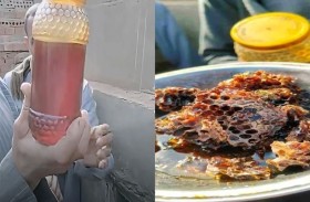 13 خلية نحل تمنع دفن جثمان 