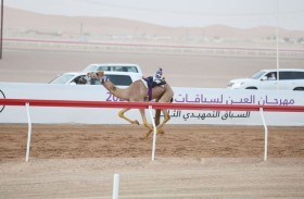 «التمهيدي الثالث» في مهرجان العين لسباقات الهجن ينطلق اليوم